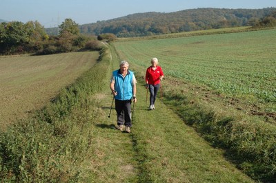 Rundweg und Nordic- Walking- Strecke Weinberg