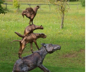 Actionbound am Märchenrundweg am Haselsee