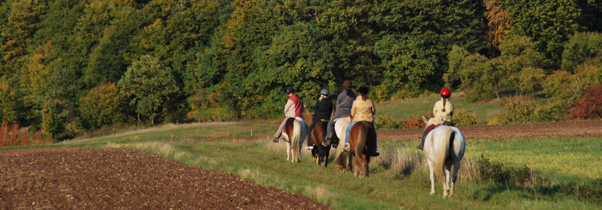 Reiter Header