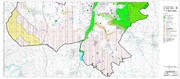 Karte 7b - Arten und Biotope - Südblattblatt
